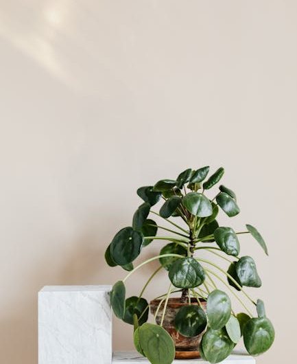 ТОП-10 преимуществ мультисплит-систем в Балашихе